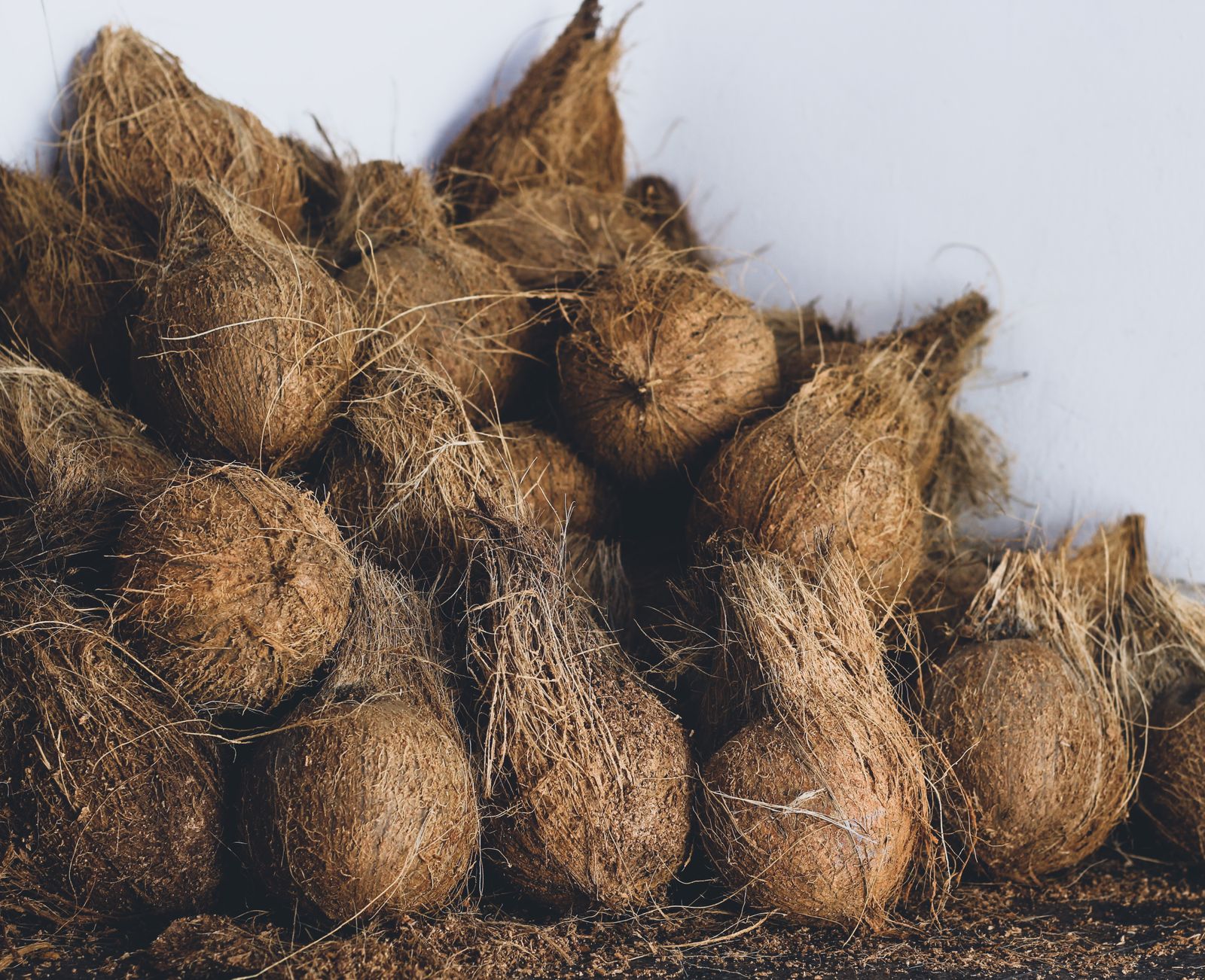 Natural cocopeat material prepared for high-EC bulk bag packing