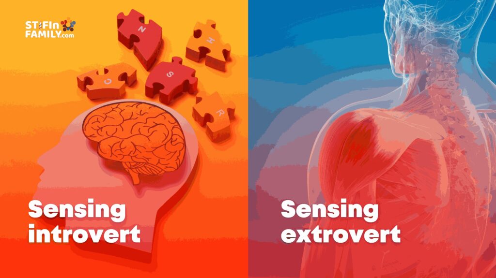 Sensing Introvert & Sensing Extrovert