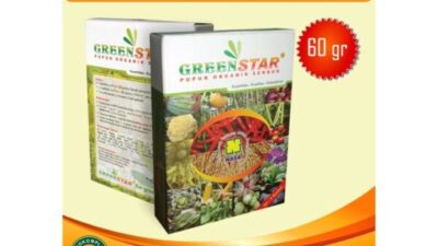 rahasia-1-greenstar-pupuk-nasa-padi-panen-melimpah-dan-berkualitas