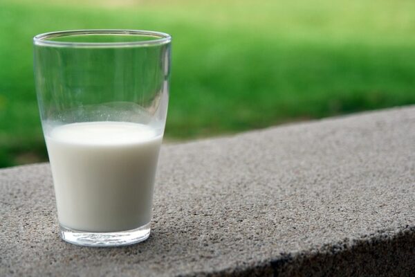 Manfaat Susu Kambing