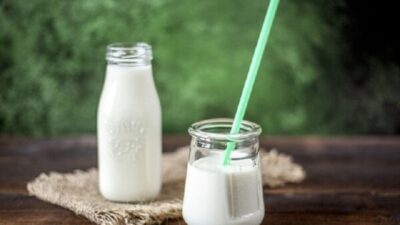 Susu Penambah Nafsu Makan Anak yang Aman dan Terjangkau
