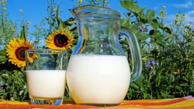 Susu Penambah Nafsu Makan untuk Dewasa yang Aman